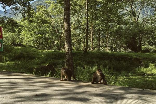 1983年8月1日出生的人生旅程与性格解析