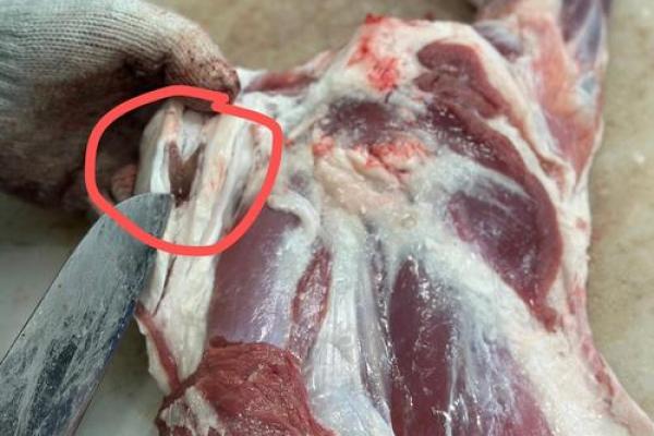 1955羊年出生的人命运解析与性格特点