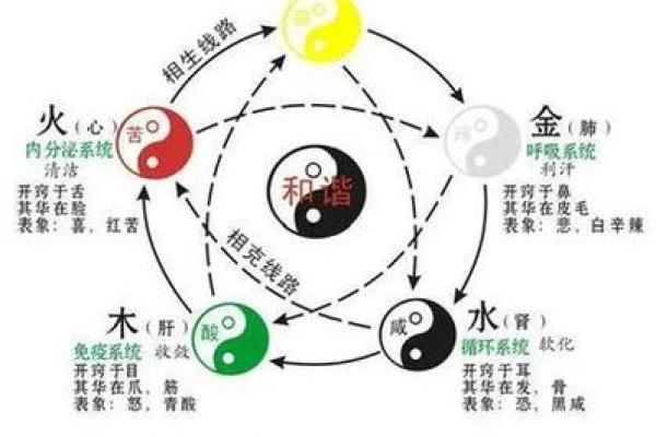 金命之人适合补什么：探寻五行相生的秘密