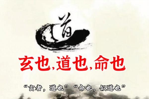 探索命理与命道：揭示人生智慧的奥秘和启示