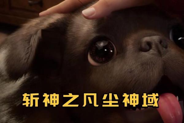 《九条命的传奇：一次不可思议的冒险之旅》