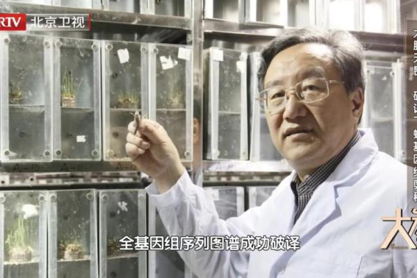 1949年出生的牛年命：解密命运与性格的奥秘