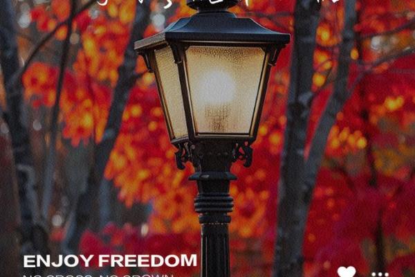 19980301命运解析：你独特的人生之旅与未来发展