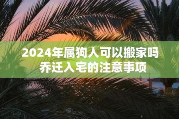 探寻狗与猪的命理密码：土命与水命之交融