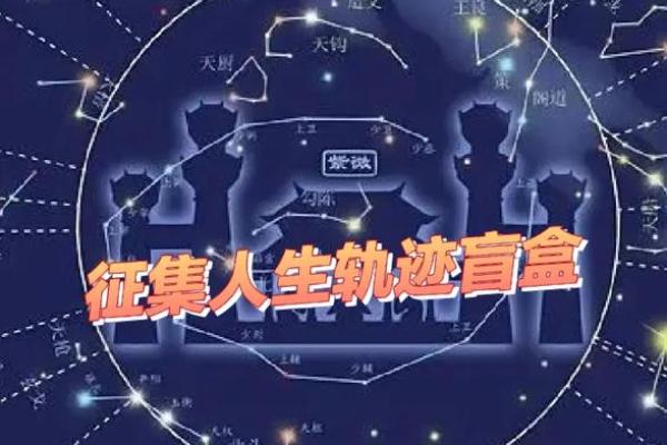 19861015出生的人生密码与命运探索