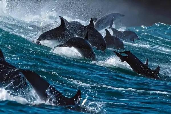 庚辰日柱：解密这一生命的力量与潜能之旅