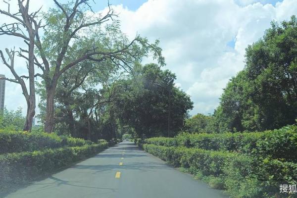 探寻花园命运：适合你的职业与人生道路