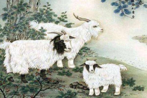 2003年出生的属羊人：命运与人生的精彩之旅