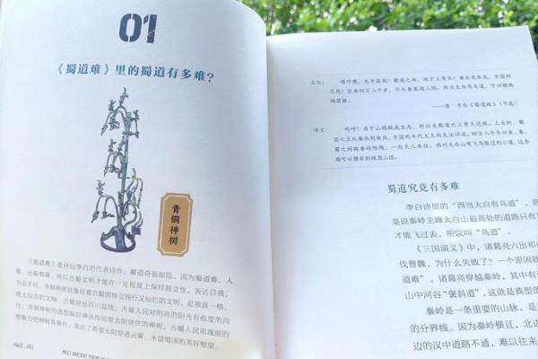 命名西字成语的奇妙世界：探寻文化的深意与魅力