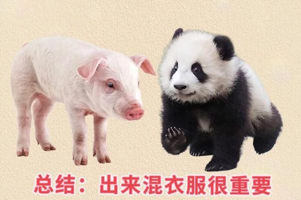 测八字：揭示命运的奥秘，男女命运的不同探究