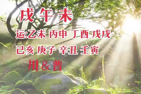 探寻命理之奥秘：辛丑甲午与甲寅的命运解析