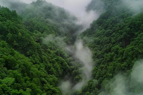 19937.30命运解读：探索你的数字背后隐藏的秘密