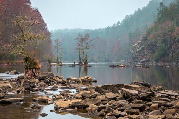 土豪命的属相解析：这些生肖注定富贵荣华！