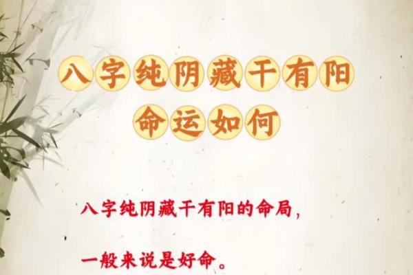 阴命与阳命:揭秘命理中的性格与命运 阴命与阳命:揭秘命理中的性格与命运