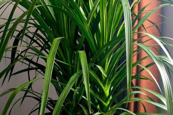 探寻20020212的命理玄机：独特性与人生轨迹的交织