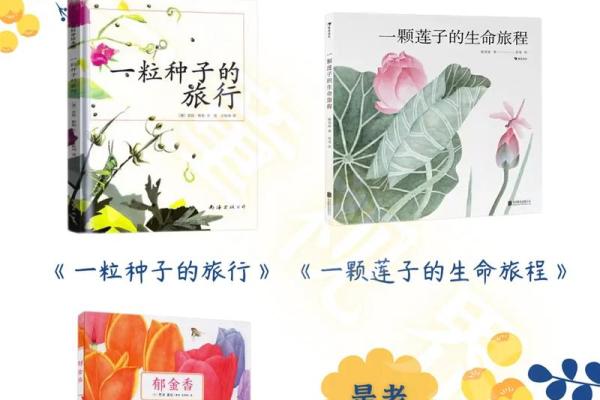 1987年出生的火命人：热情与挑战并存的生命旅程