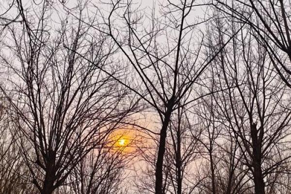 贼眉鼠眼的人命运解析：探寻其背后的性格与人生轨迹