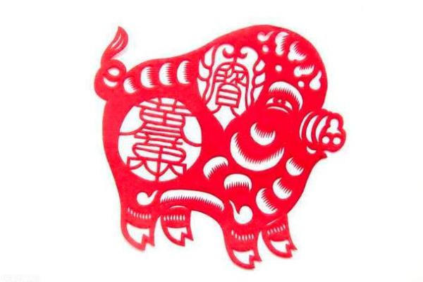 属猪的命理解析及其应用：探寻命运的密码