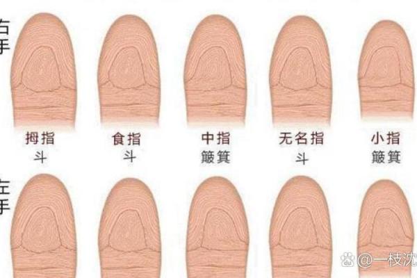 如何查自己命犯什么?揭示你命运的秘密! 如何查自己命犯什么?揭示你命运的秘密!