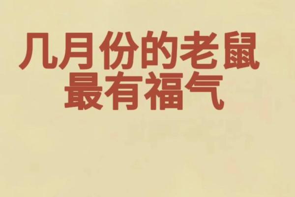 2014年的命运：解读不同生肖在这一年的运势与发展