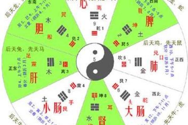 艮命西四命的奥秘:揭开风水与人生的关系 艮命西四命的奥秘:揭开风水与人生的关系