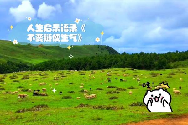 命硬加和尚命的深层意义与人生启示 命硬加和尚命的深层意义与人生启示