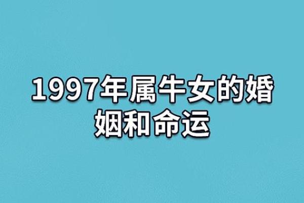 2009年出生的属牛人：命运与性格的深度解析