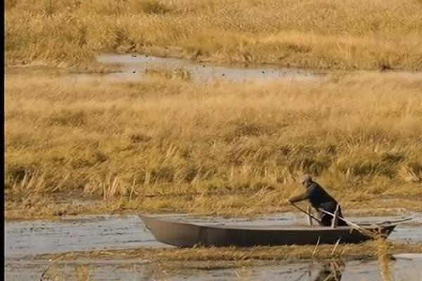 19970808的命运秘密：揭示出生日期潜藏的性格和人生轨迹