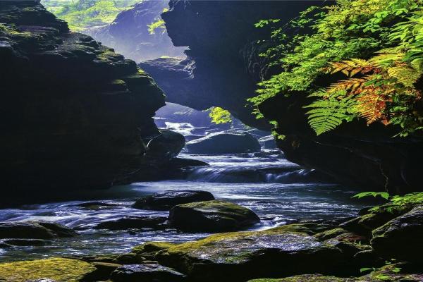 女孩三两六命:探索命理背后的神秘与魅力 女孩三两六命:探索命理背后的神秘与魅力