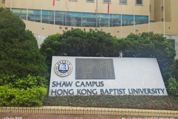 19970808的命运秘密：揭示出生日期潜藏的性格和人生轨迹