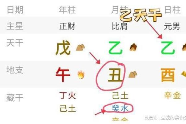 命宫与命主星:揭示个人命运的神秘钥匙 命宫与命主星:揭示个人命运的神秘钥匙