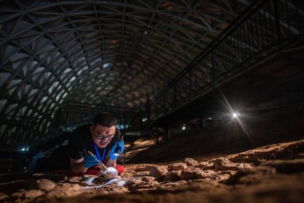 难道他们的命不是命？探索生命的真正意义