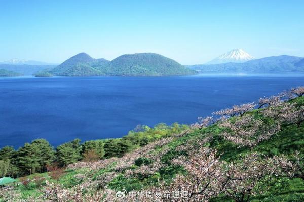 解读山下火鸡命理：生命缺失的深刻意义与启示