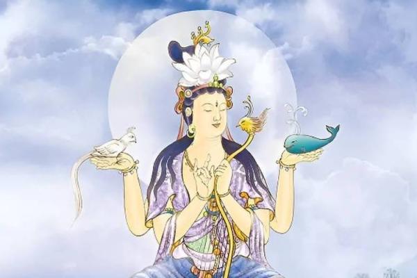 2014年属马的命运解读：激情与奋斗的旅程