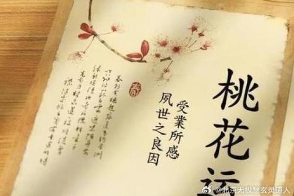 解密90年之命:命运与运势的玄妙互动 解密90年之命:命运与运势的玄妙互动