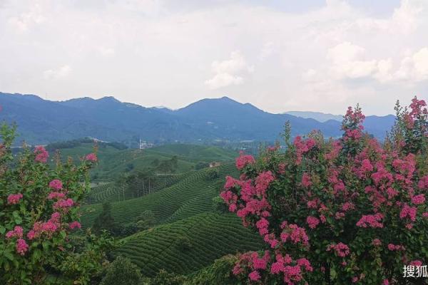 探索19881031出生命理密码：你的人生路径与性格特点