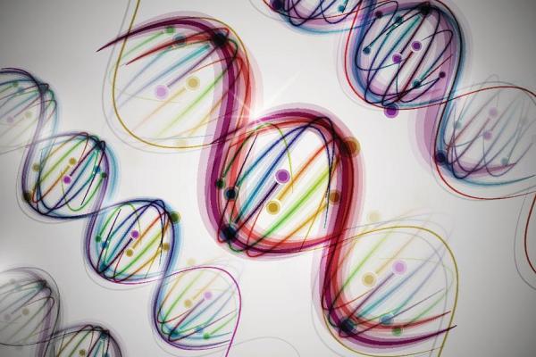 揭开2000兔年的神秘面纱：命运与性格的探索