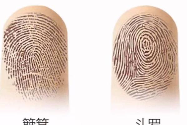 儿童指纹的独特密码：揭示命运与个性的奥秘