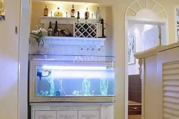 家居环境与风水揭秘适合养鱼的家庭特点 家居环境与风水揭秘适合养鱼的家庭特点