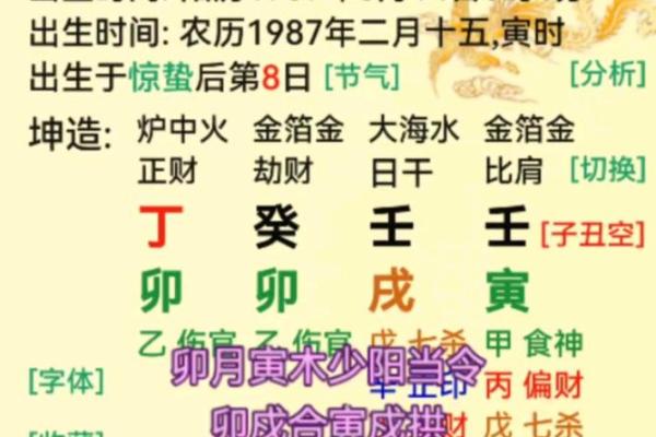 木命解析:探秘五行中木命的命理与人生机遇 木命解析:探秘五行中木命的命理与人生机遇