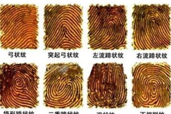 儿童指纹的独特密码：揭示命运与个性的奥秘