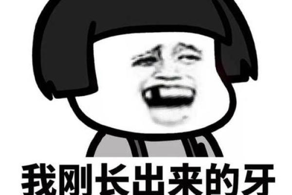 当开玩笑变成生活的哲学——探索“不是命king”的幽默世界