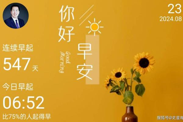 探讨木鸡之命:命格与人生的奇妙旅程 探讨木鸡之命:命格与人生的奇妙旅程