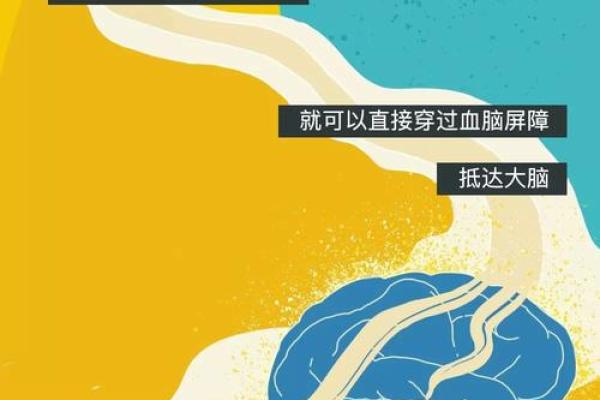 抽烟与命运：选择烟草的背后故事与启示