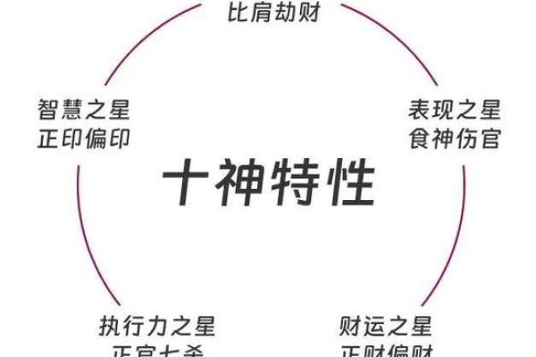 2020年猪年解析:五行八字与性格特征及运势发展 2020年猪年解析:五行八字与性格特征及运势发展