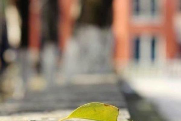 阳历7月19日出生的人命运解析与个性特征 阳历7月19日出生的人命运解析与个性特征