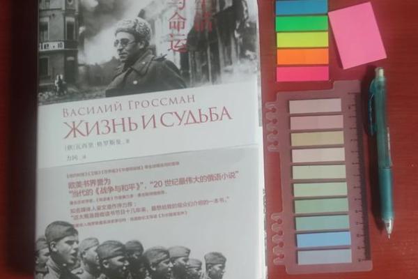 爱财如命的人：如何理解他们独特的命运与生活选择