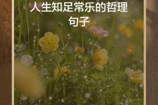 20020304的命理解析:探索你命中的秘密与人生的可能性 20020304的命理解析:探索你命中的秘密与人生的可能性