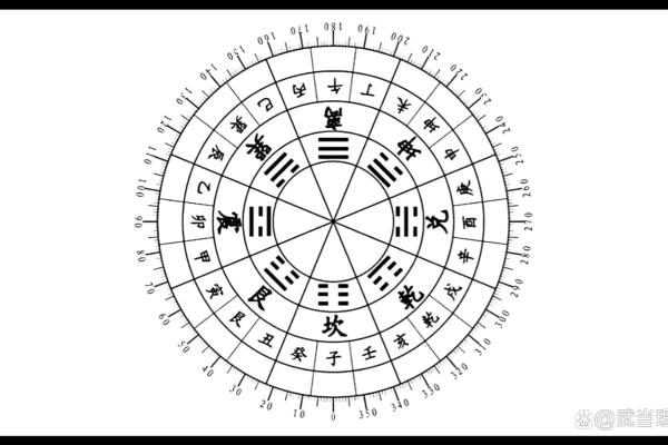 80年出生的人属什么？命运与五行解析