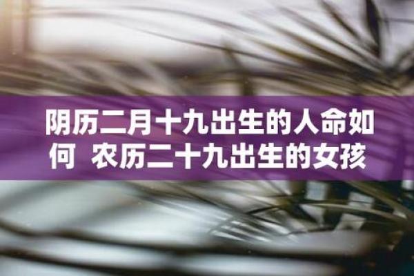 探秘9.2农历出生者的命运与个性